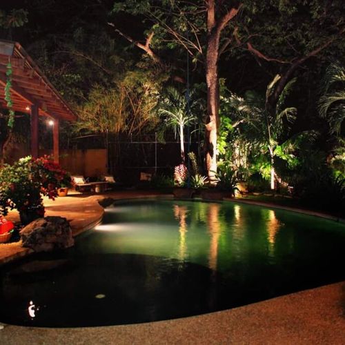 Feel like in the jungle in the comfort of your house!