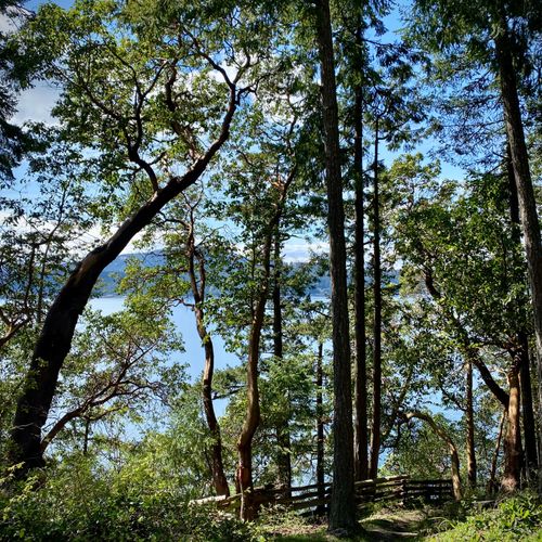 385f3bd8 c60c 491b a166 434a4270d21c homerunner