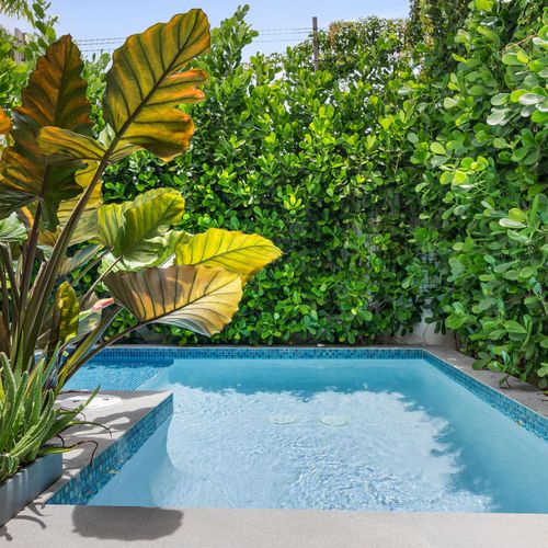 A peaceful swim awaits you.