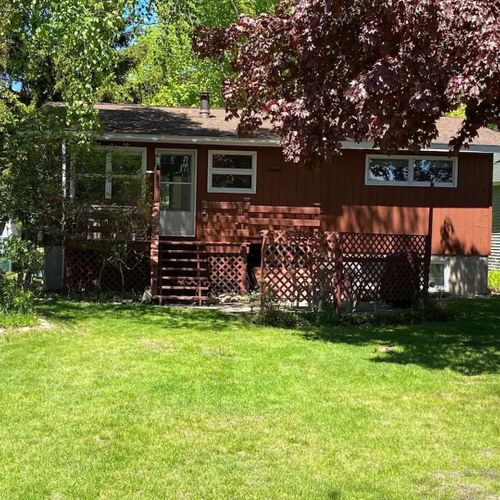 Exterior:  the backyard in summer.