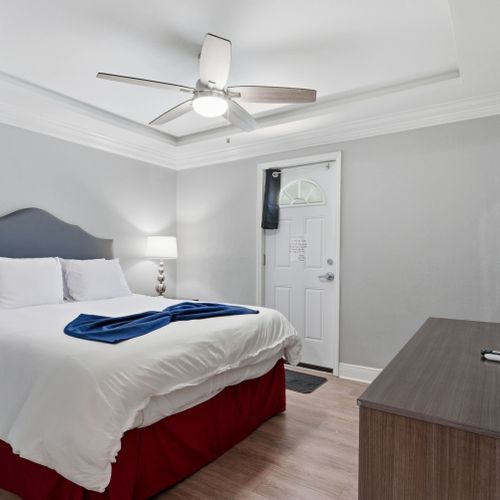Calm bedroom w/ natural light and a relaxed, restful feel.