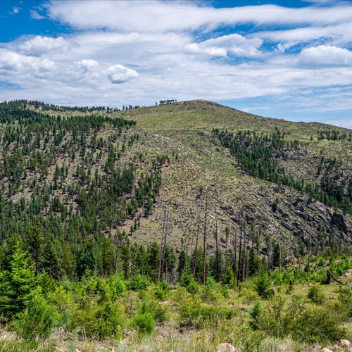 The best mountainscapes bailey, colorado has to offer.