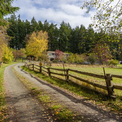 39a94503 5265 4b55 8ba1 722fa17afed7 homerunner