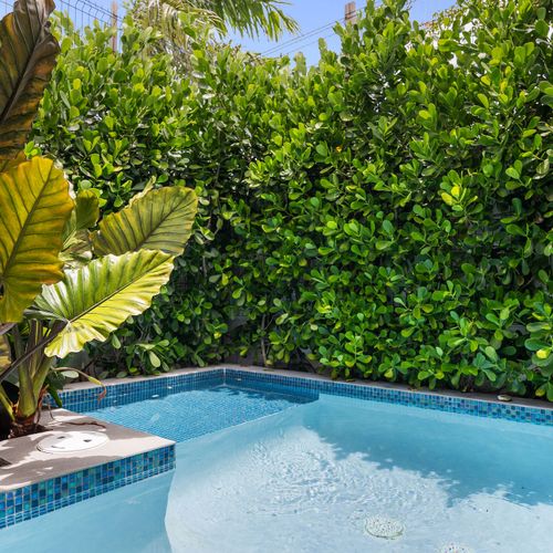 Emerald greens create a serene backdrop for your swim.