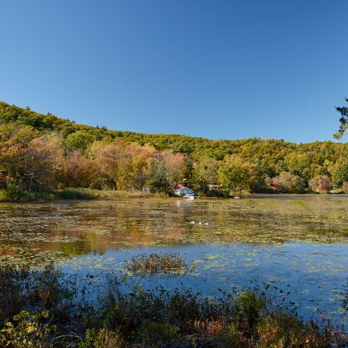 Overlooking the lake from your private peninsula.