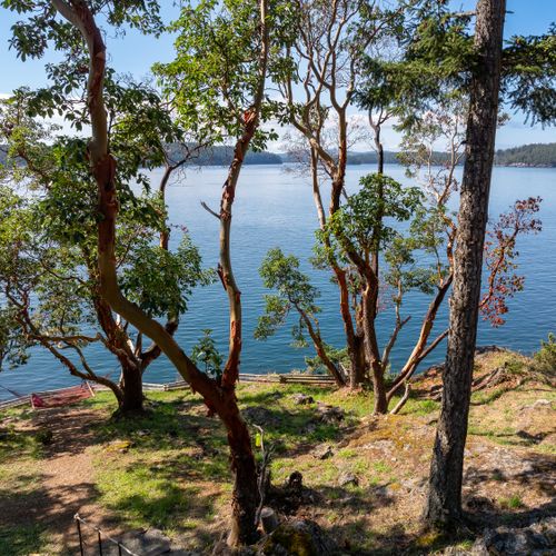 3ce902d3 6d8a 43cf 90ea b96193b33231 homerunner