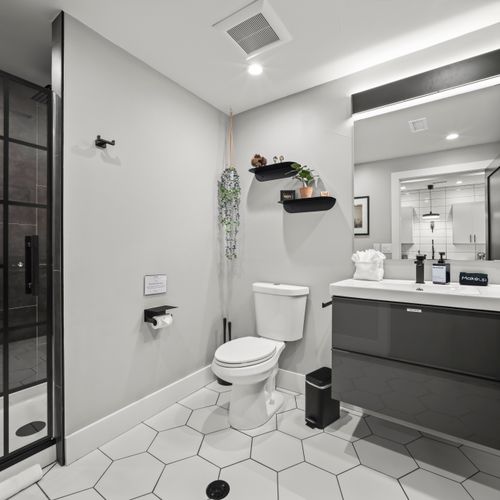 Full bathroom with walk-in shower, toilet, and vanity.