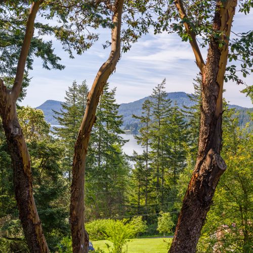 41985e44 3e1e 4345 b9e2 b85516a25d0a homerunner