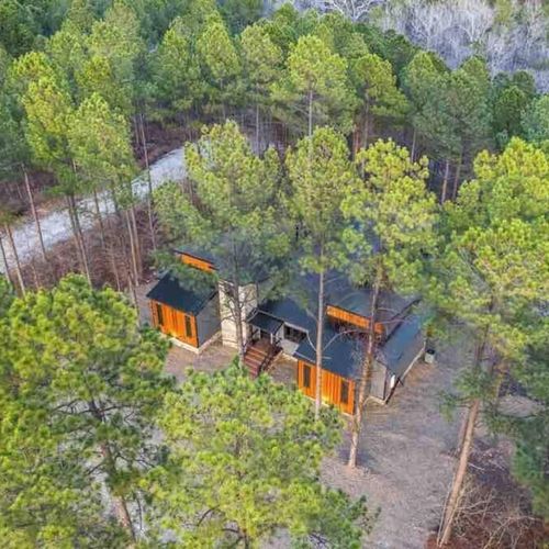 Nestled amongst towering pines!