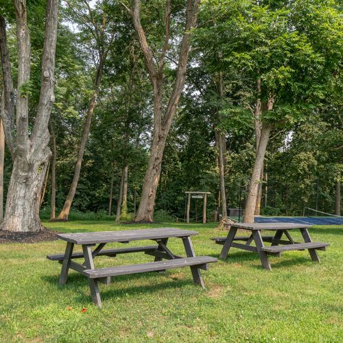 Come picnic under the trees.