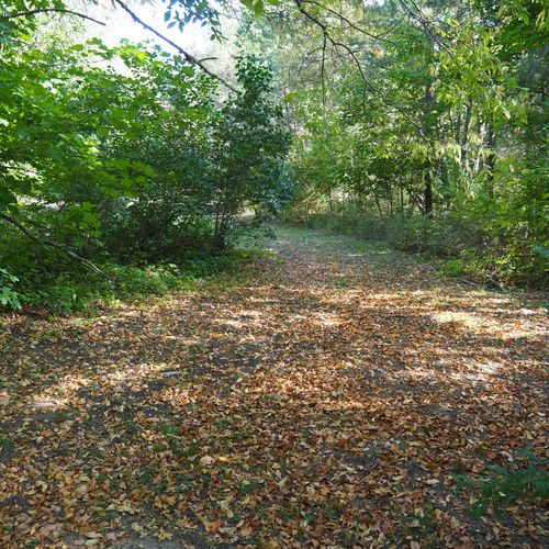 Exterior:  the trails on the property.