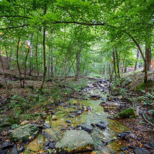 Another look at the creek on the property.