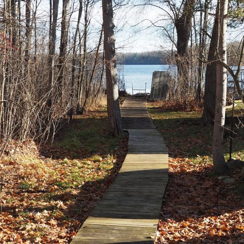 This is the walkway down to the private lake access area on green lake. The walkway is about 100 yards north of the house along betsie river road.