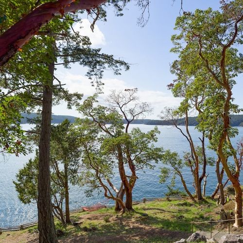 48dd1908 e435 419a 9e4c 6b6f4da1f1fa homerunner