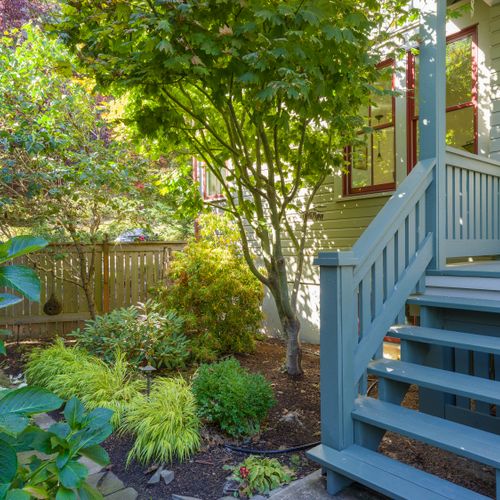 Peaceful garden path surrounded by mature trees.