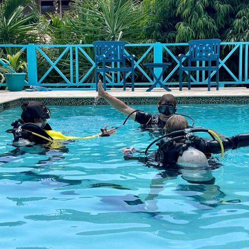 Explore the dive school