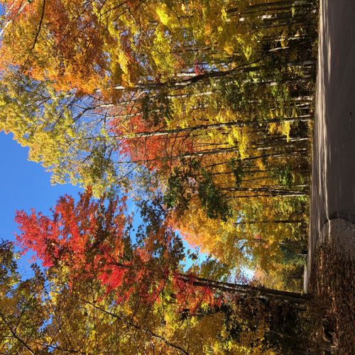 Photos from the area:  the famous fall colors in the area