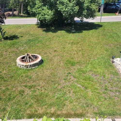 EXTERIOR:  The backyard and the bonfire ring