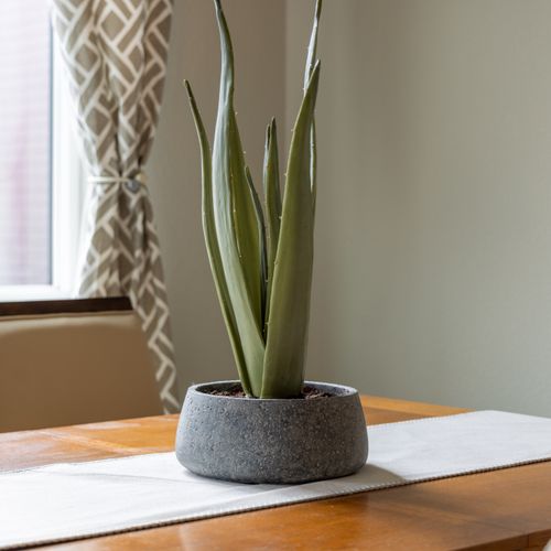 4be0a207 8974 4a9c 8b38 af706674b3f1 homerunner