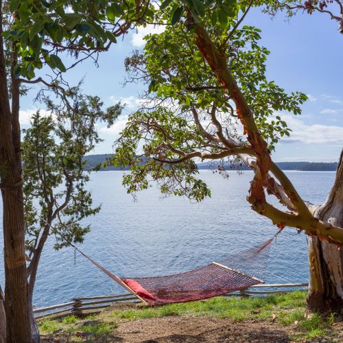 4c7801df a097 456e b1bf 1ea831710d48 homerunner