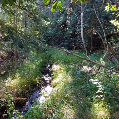 Take a scenic stroll along the stream located at the bottom of the property