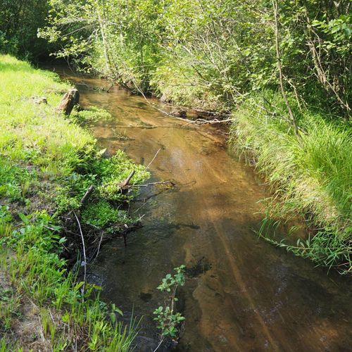 Exterior:  sandy and naturally-beautiful first creek as it flows through the property. It's quite shallow and sandy, so it's fun and safe for kids.