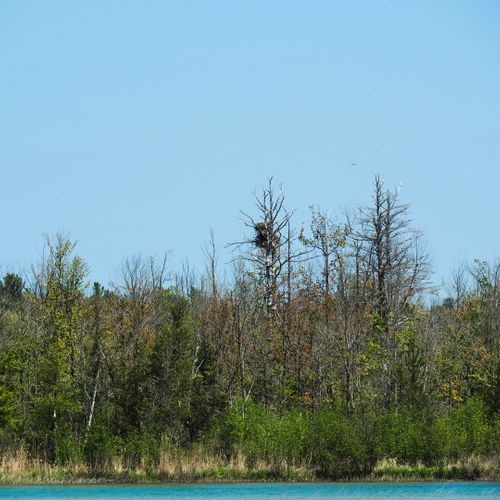 Exterior:  at the east end of long lake (not too far from the property), there is a large bald eagle's nest up in the trees!