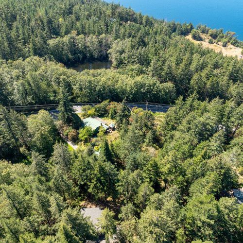 Tucked into the treetops of Orcas Island — your private forest hideaway, completely surrounded by nature yet close to everything