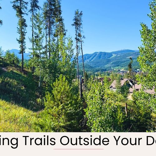 Explore the rendezvous neighborhood.