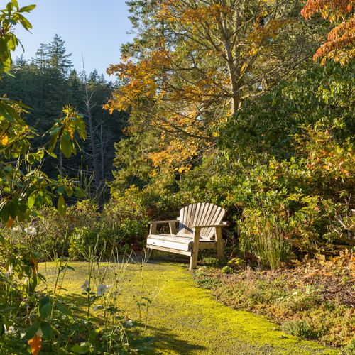 5374123d 33df 4f1b 869f cb6f9377d222 homerunner