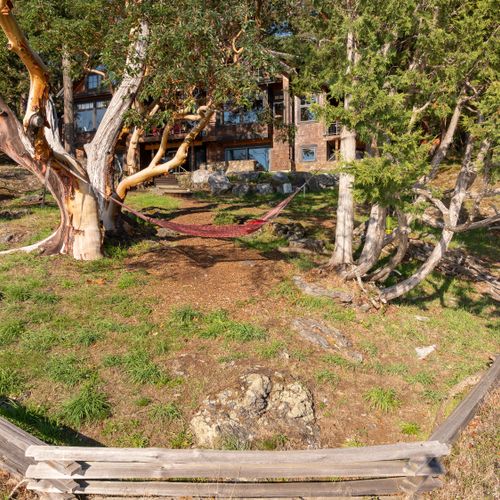 55bd30d4 0d43 4e4e 88b4 ac9e9e4e3aa9 homerunner