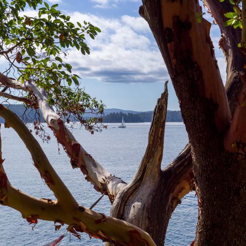 560aba59 3846 48dc ae04 a10f07c2629f homerunner