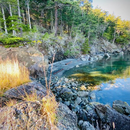 Enjoy a private beach to collect shells and play on the sandy beach.  Discover our driftwood sculptures!