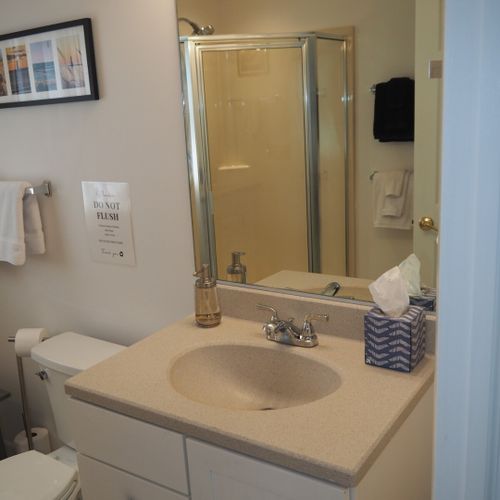 Bathroom #1 (main floor):  full common bathroom for the first floor.