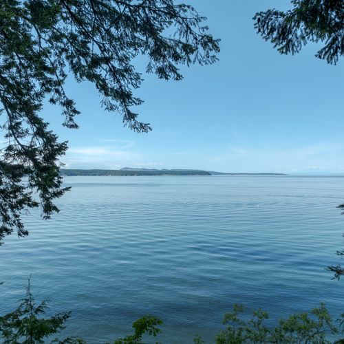 There is a balance of trees and open views of the water...