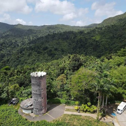 Discover a historic tower nestled within a stunning lush rainforest. Experience breathtaking views and immerse yourself in nature's beauty.