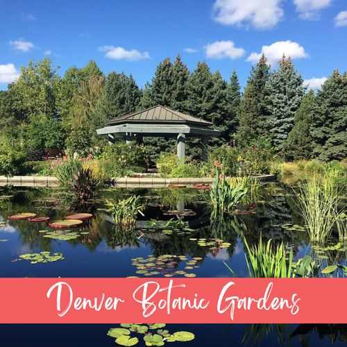 Don’t miss the denver botanic gardens! An oasis of color and calm in the heart of the city.