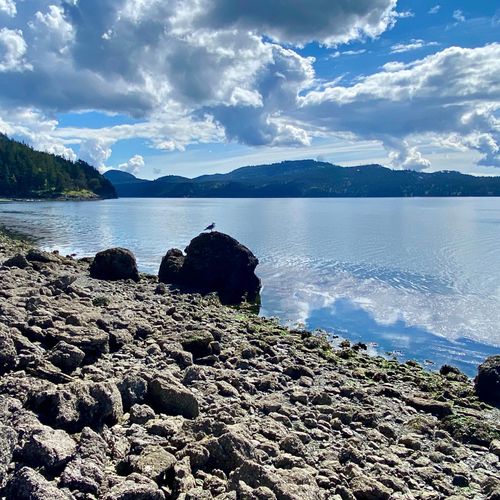 58df8aae f42b 4743 89a3 19483be5c7ad homerunner