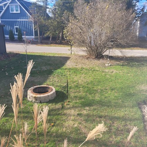 Exterior:  looking out from the back door at the backyard.