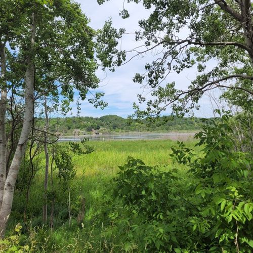 Exterior:  looking out towards the river from the backyard.