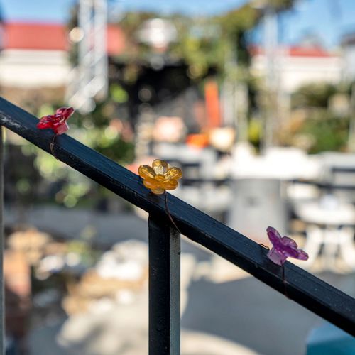 Lush greenery just outside — nature at your doorstep.