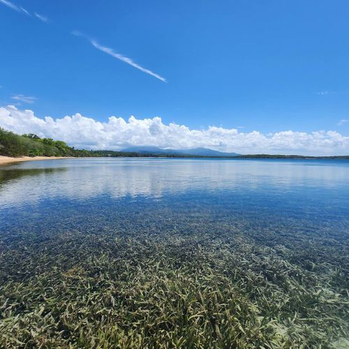 Dive into crystal-clear waters! This stunning view showcases pristine reflections, a vibrant seabed, and a serene shoreline under a clear sky.