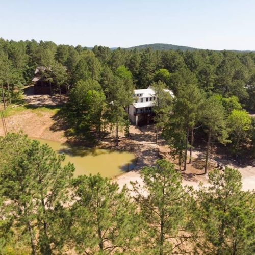 Views of the towering pines surrounding the cabin.
