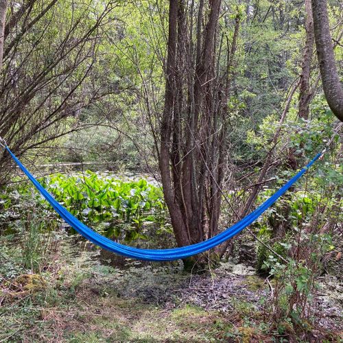 Hammock by the pond