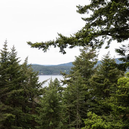 Views to Crescent Beach, Eastsound, and Indian Island.
