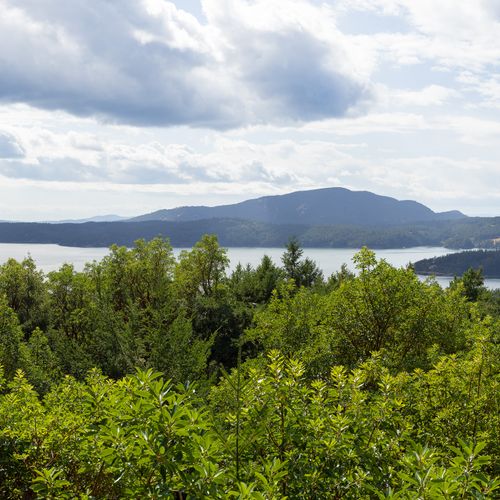 6082a4e8 27f4 4c69 afd3 8156db6abfff homerunner