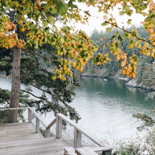 646ef056 a022 49ff a3b1 ecd2d0fc3f38 homerunner