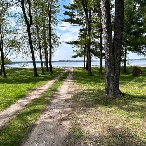 Exterior:  the driveway, which is shared between vivian's cabin and forrest's cabin.