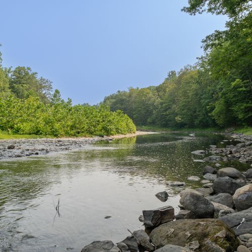 Down a private hiking trail lies Luna Cove's Creek, ready for your enjoyment.