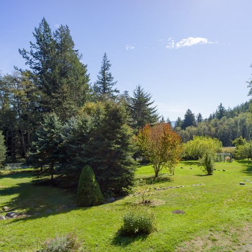 Mature trees planted by the owner many years ago.